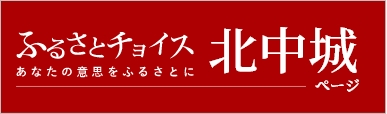 ふるさとチョイス北中城ページ