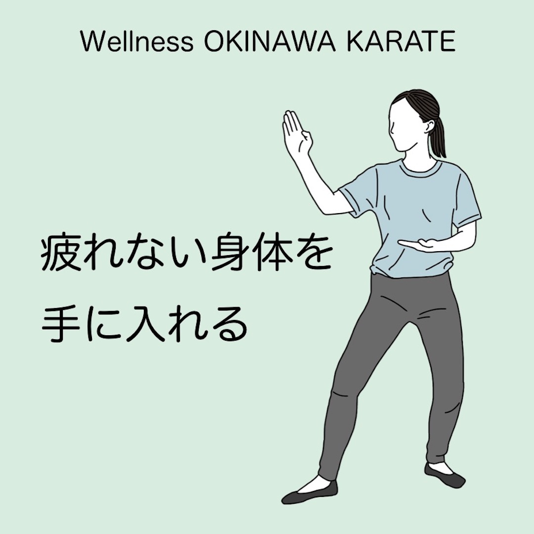ウェルネス沖縄空手（全8回・筋力に頼らない柔らかい空手）