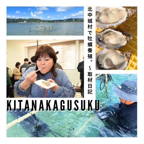 北中城発・海の新たな魅力〜マガキ養殖実証実験の成果〜