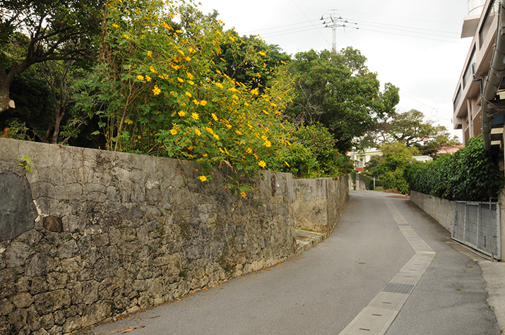 道路